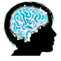 Our Teen Brains logo